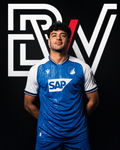 TSG 1899 Hoffenheim - Heimtrikot