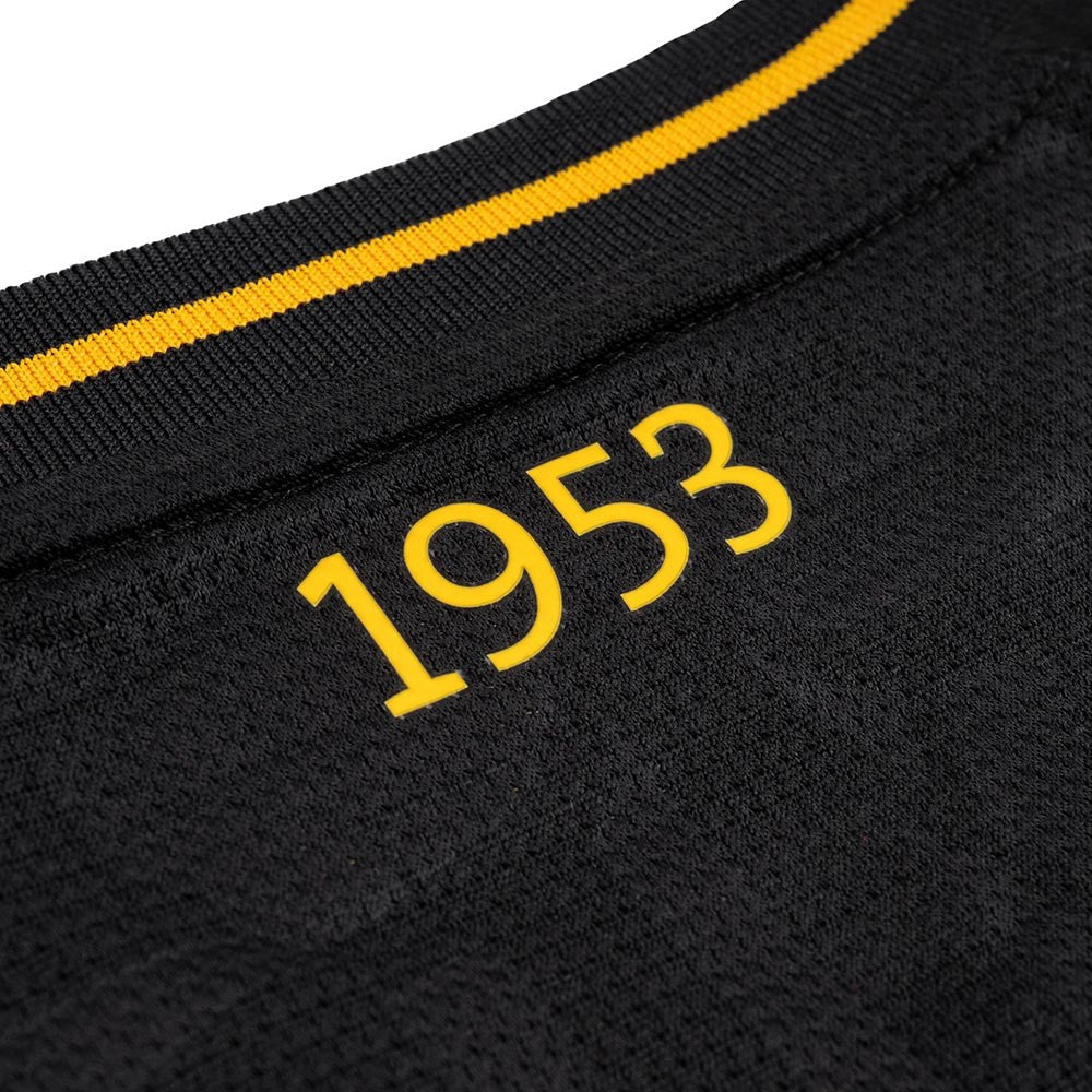 SG Dynamo Dresden - Ausweichtrikot