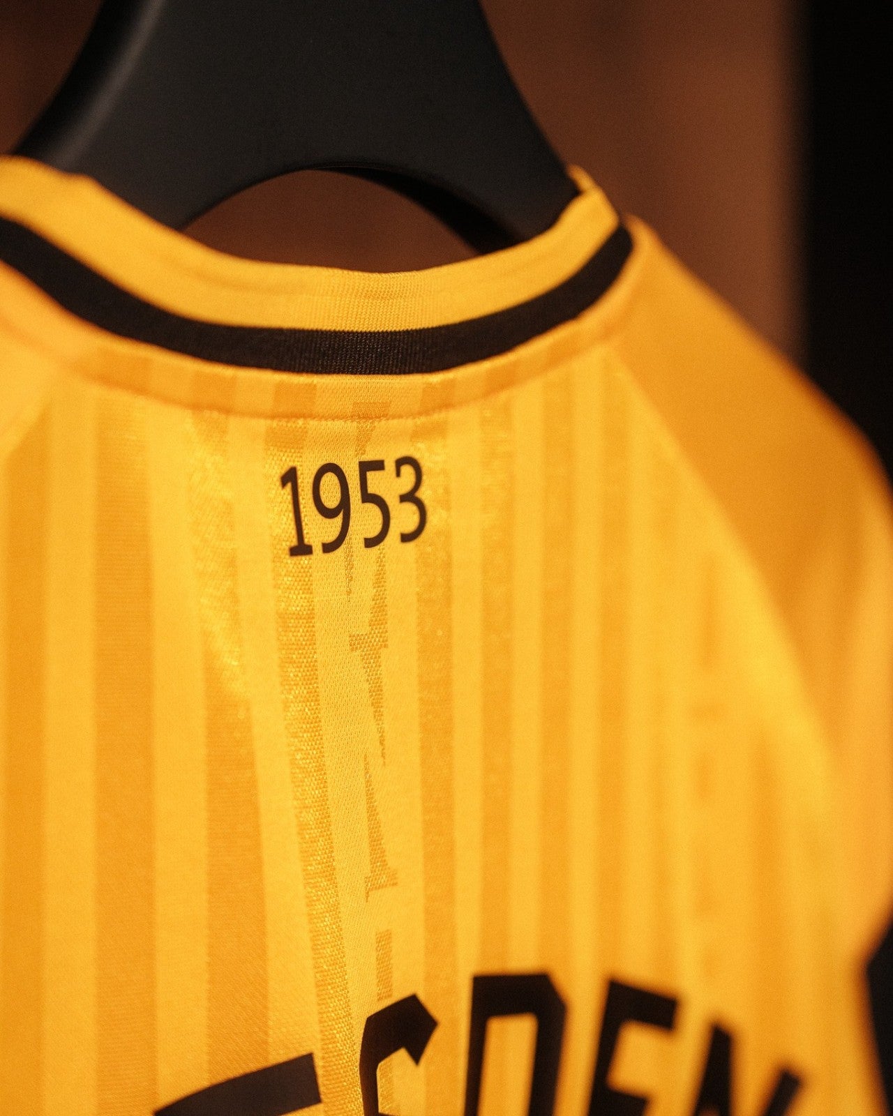 SG Dynamo Dresden - Heimtrikot