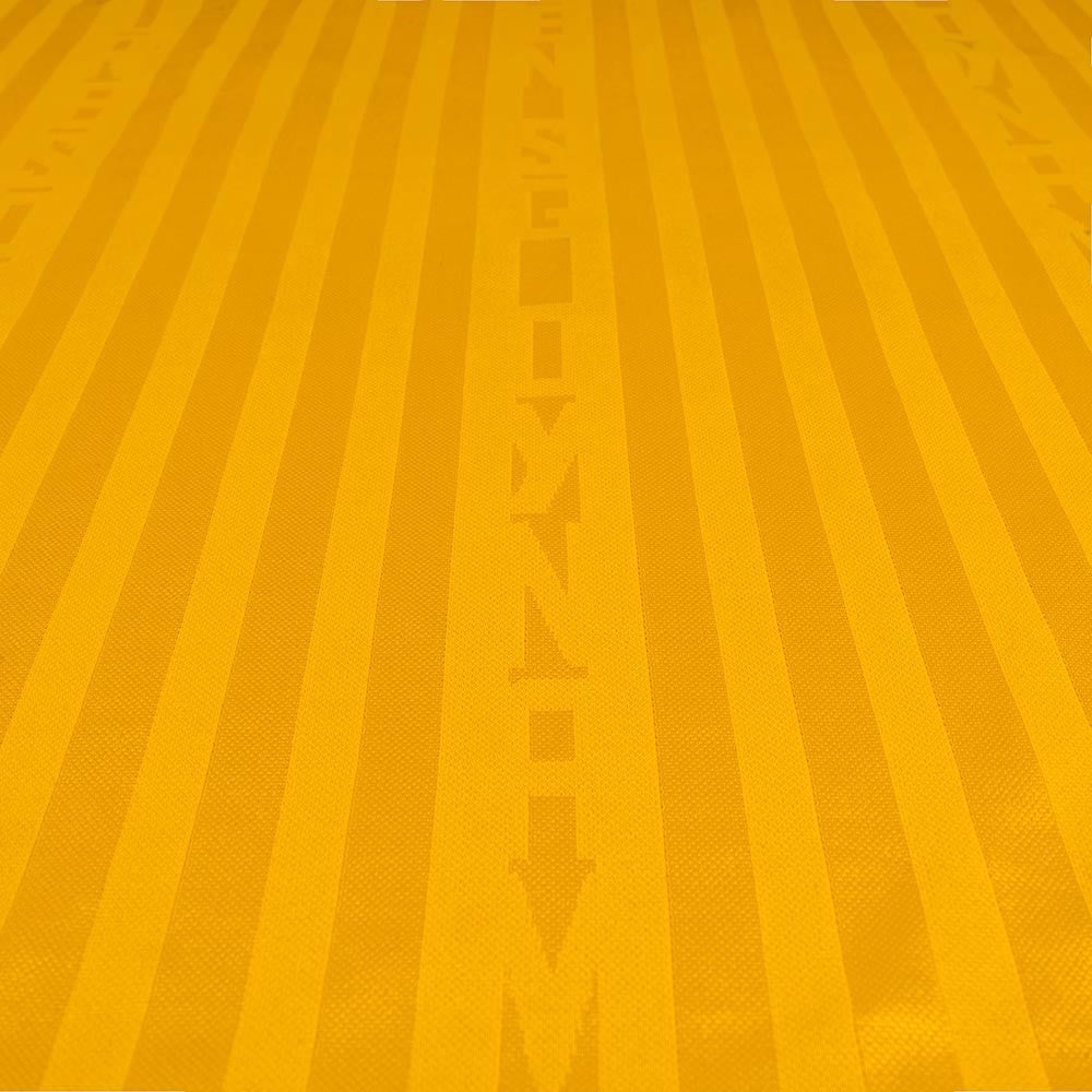 SG Dynamo Dresden - Heimtrikot