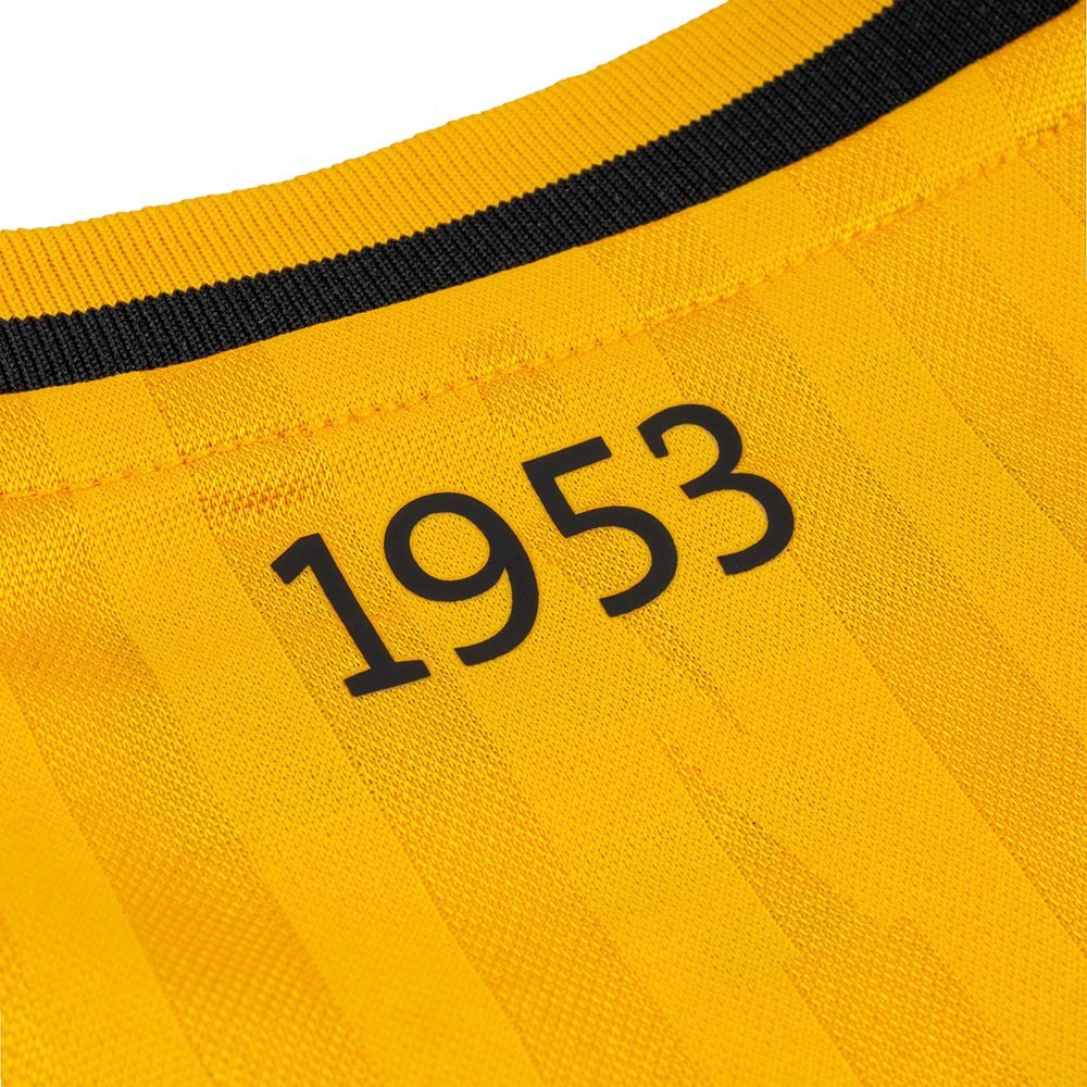 SG Dynamo Dresden - Heimtrikot