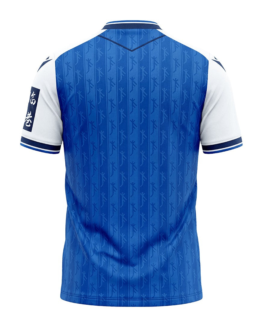 TSG 1899 Hoffenheim - Heimtrikot